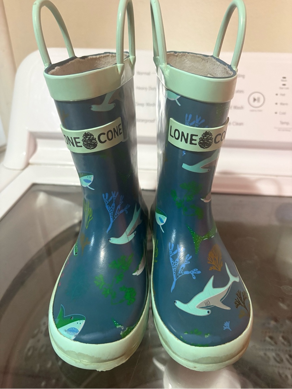 Lone Cone Rain Boots